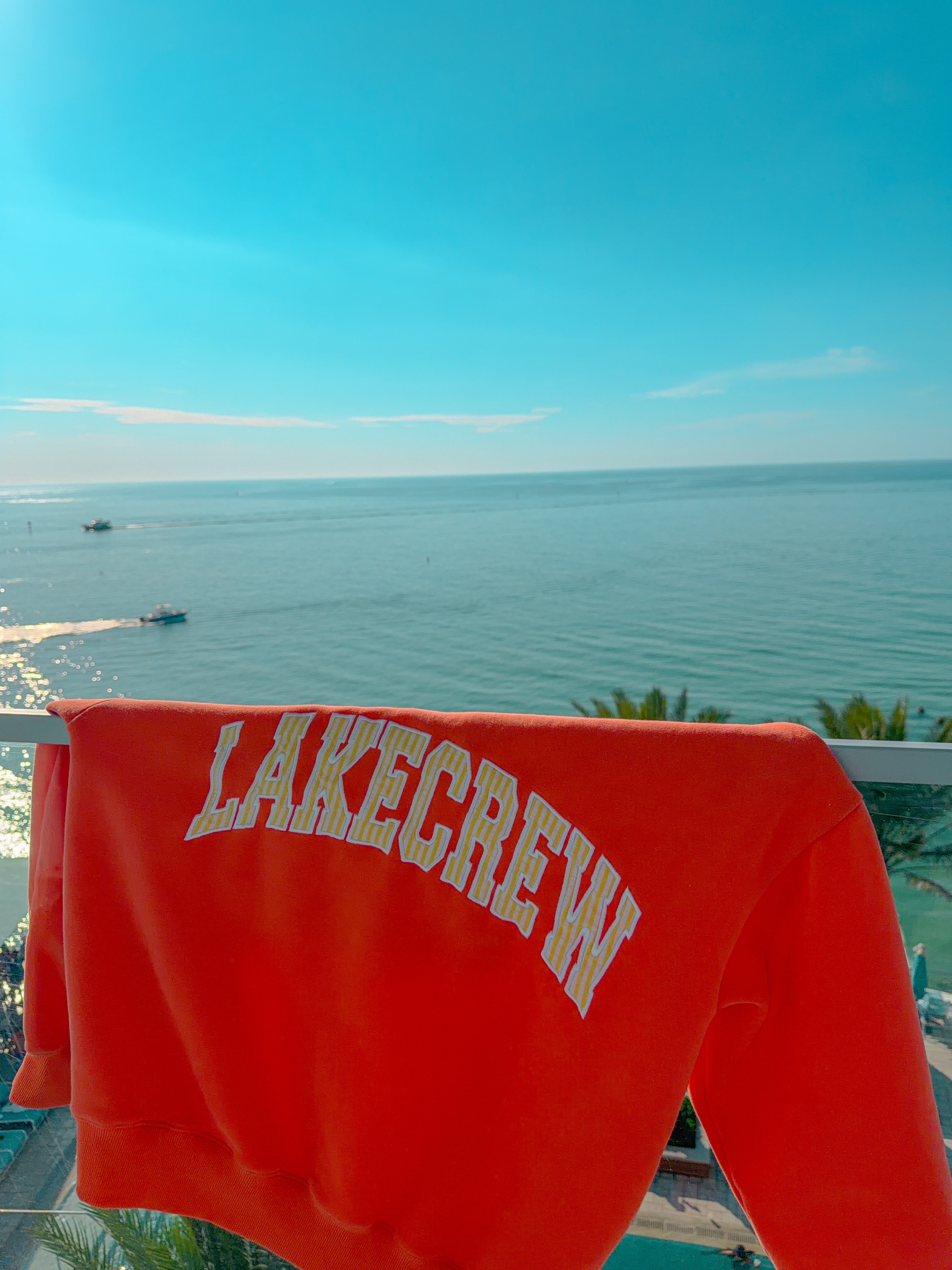 ORANGE APPLIQUE CREWNECK